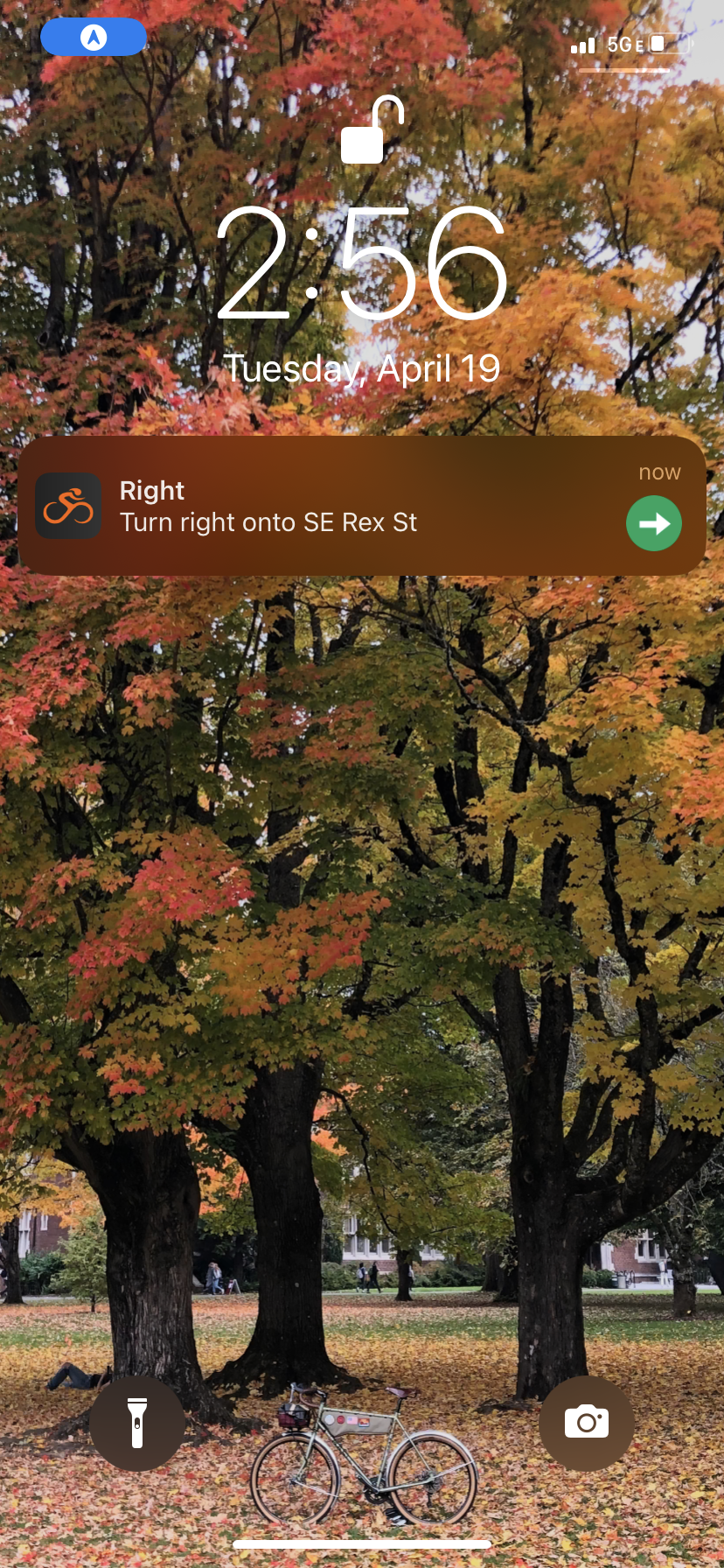 Image_from_iOS__1_.png